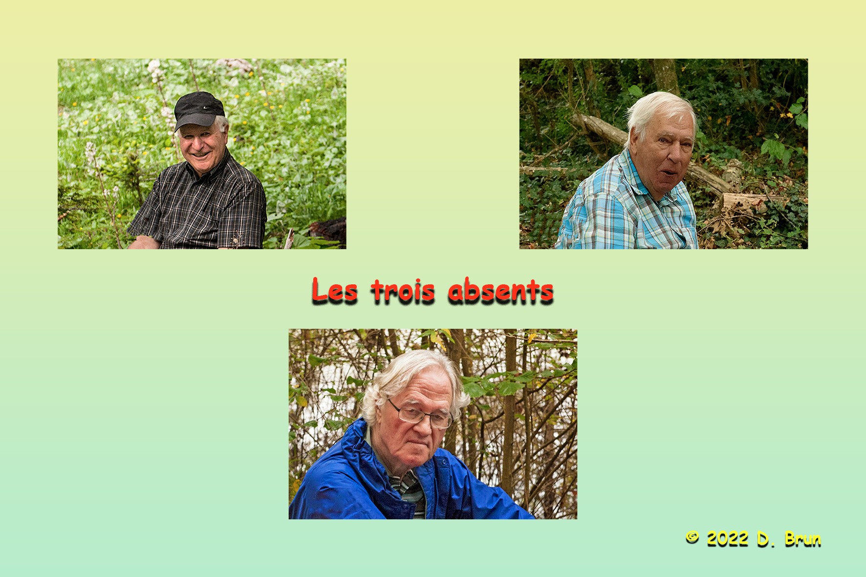 15ans 12