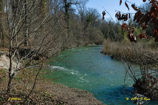 Allaman-Morges-001