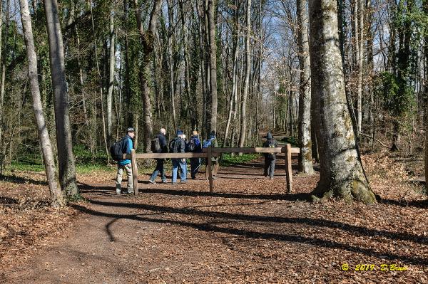 Allaman-Morges-003