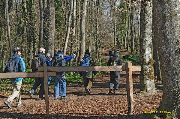 Allaman-Morges-004