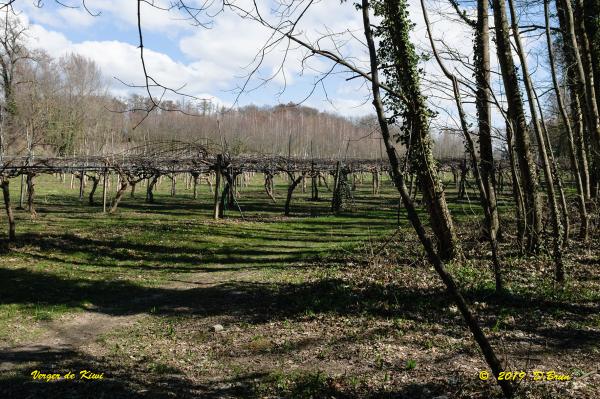 Allaman-Morges-005