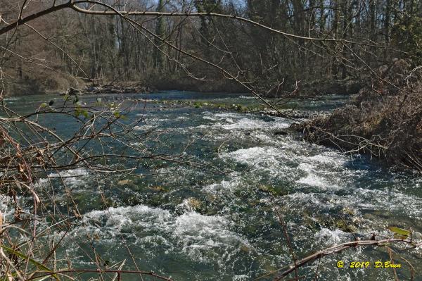 Allaman-Morges-006