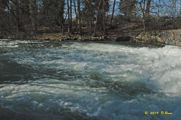 Allaman-Morges-010