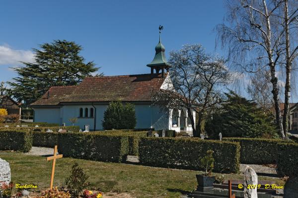 Allaman-Morges-012
