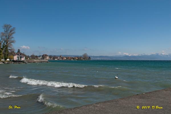 Allaman-Morges-013