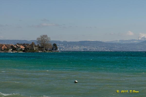 Allaman-Morges-014
