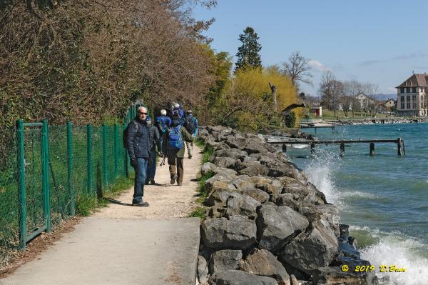 Allaman-Morges-019