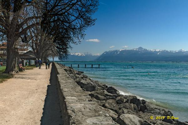 Allaman-Morges-020