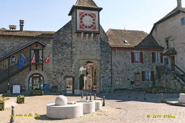 Allaman-Morges-022