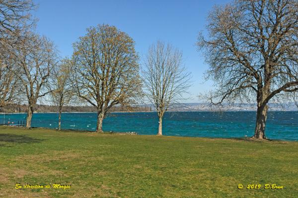 Allaman-Morges-024