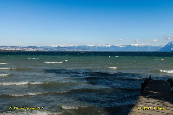 Allaman-Morges-026
