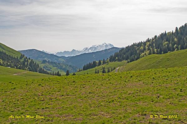 Aravis-003