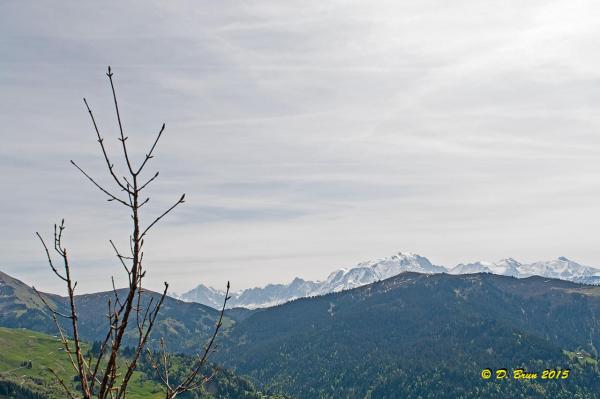Aravis-005