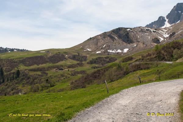 Aravis-019