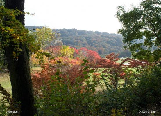 Arboretum-004