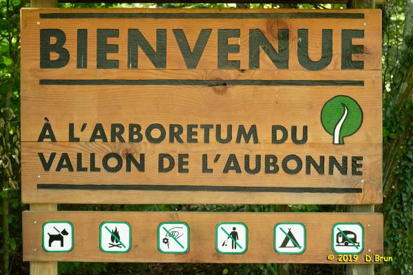 Arboretum-008