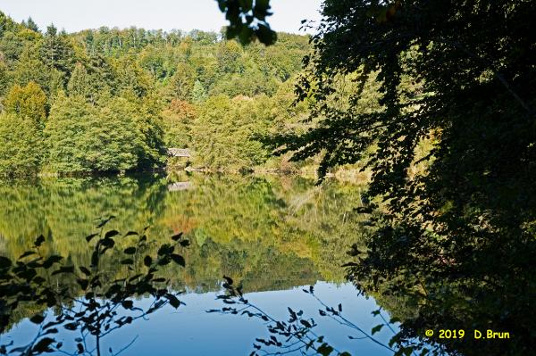 Arboretum-010