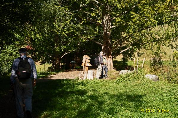 Arboretum-013