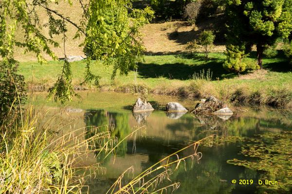 Arboretum-014