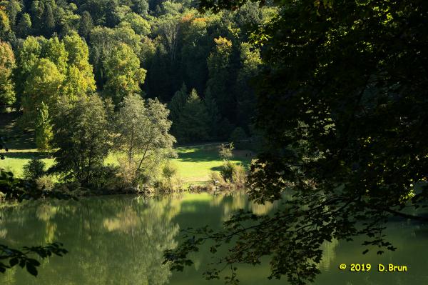 Arboretum-015