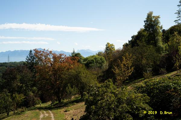 Arboretum-018