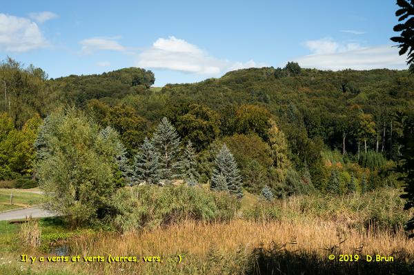Arboretum-021