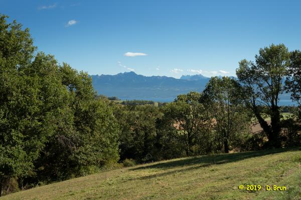 Arboretum-023