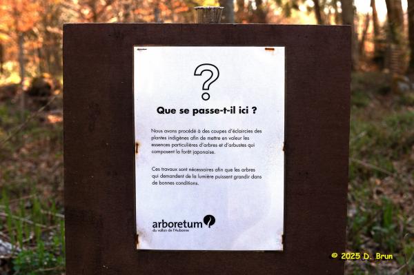 Arboretum 10