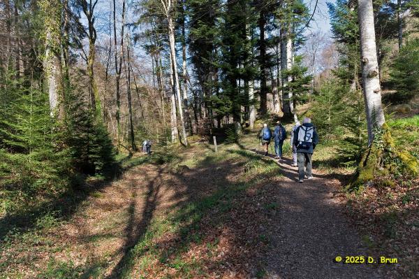 Arboretum 11