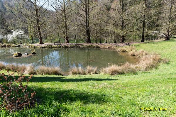 Arboretum 19