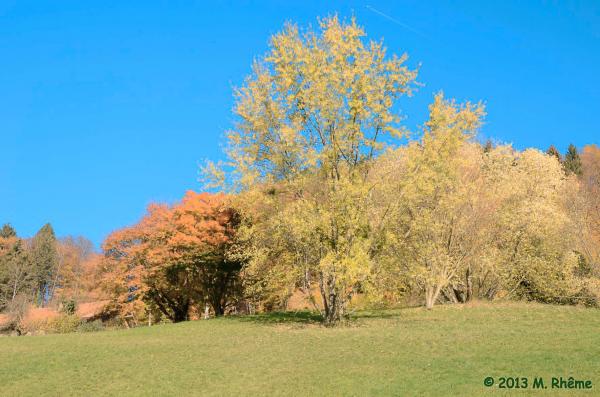 Arboretum-2013-003