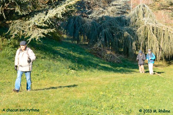 Arboretum-2013-005