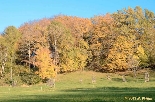 Arboretum-2013-008