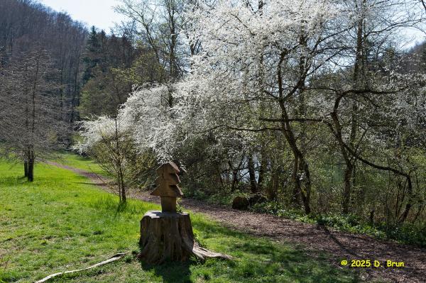 Arboretum 21