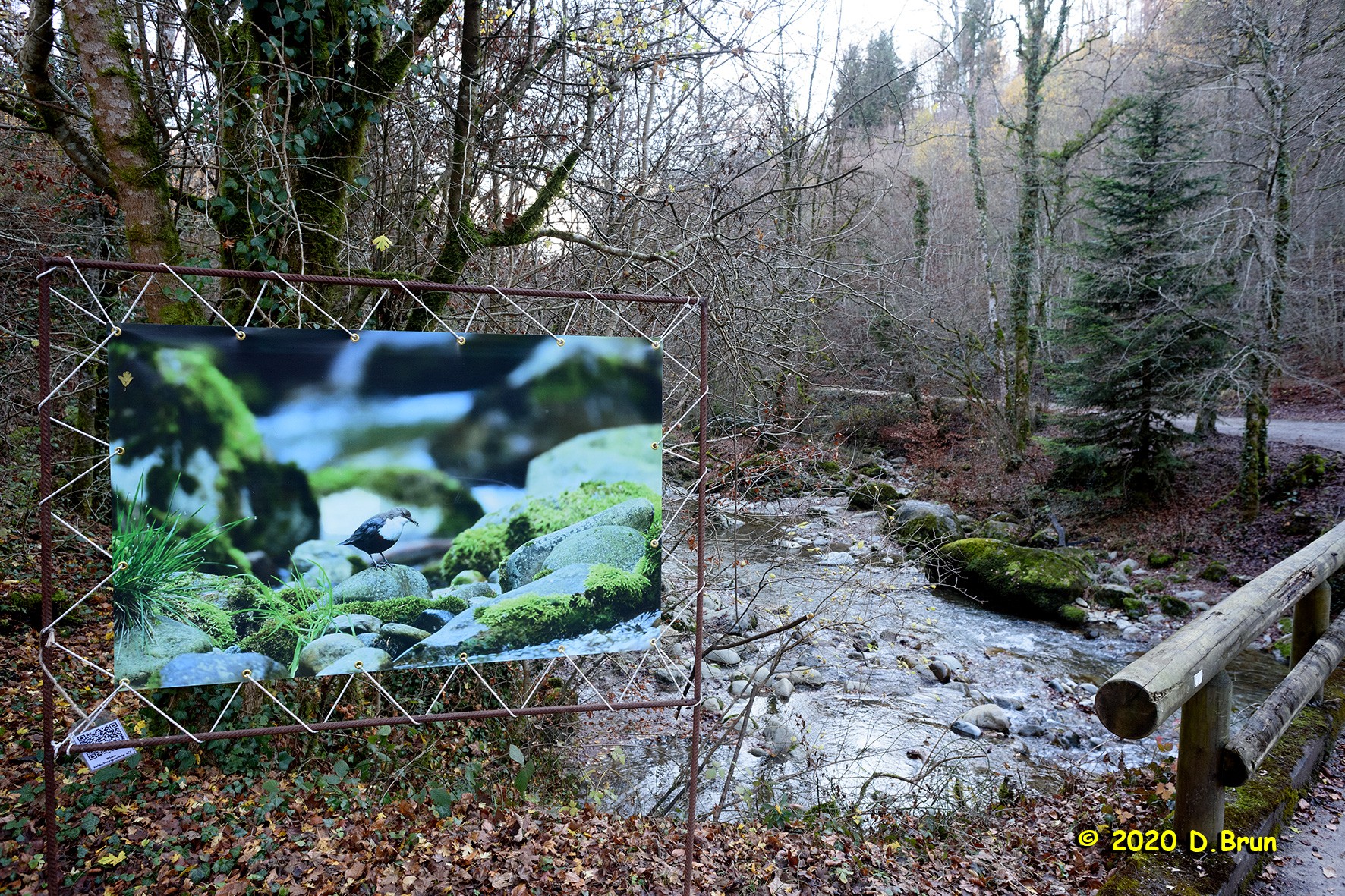 Arboretum covid 003