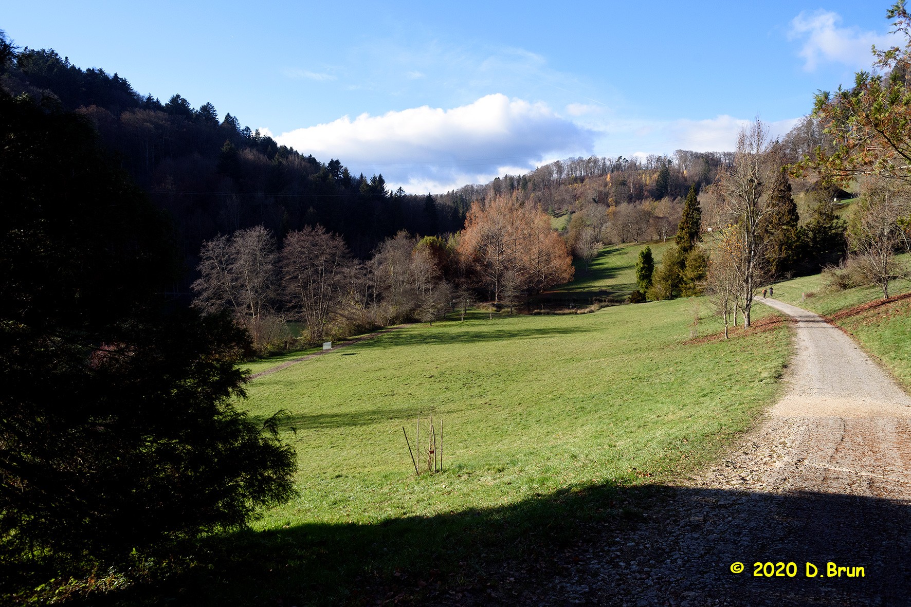 Arboretum covid 004