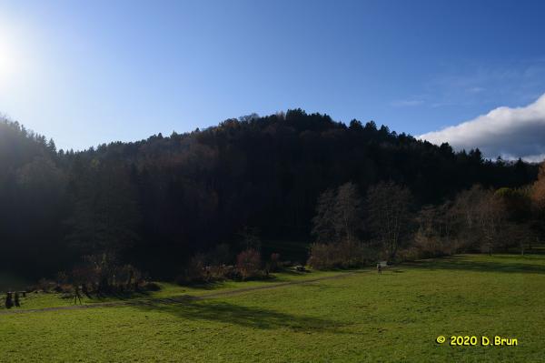 Arboretum covid 005