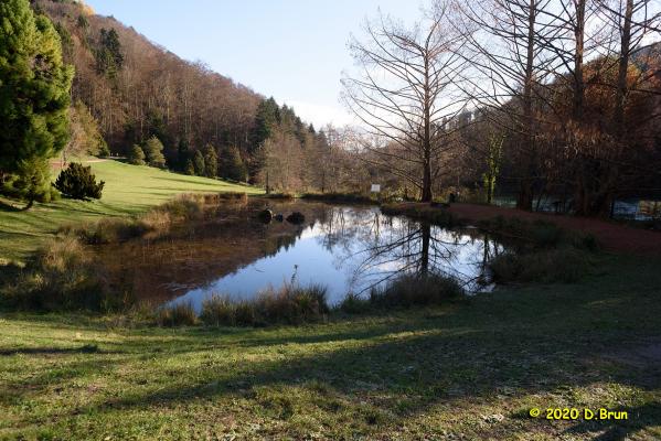 Arboretum covid 006