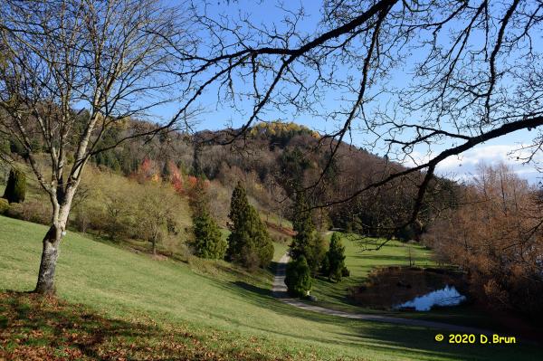 Arboretum covid 007