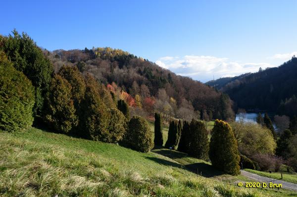 Arboretum covid 009