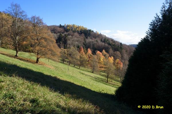 Arboretum covid 010