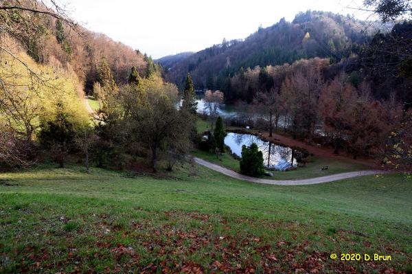 Arboretum covid 013