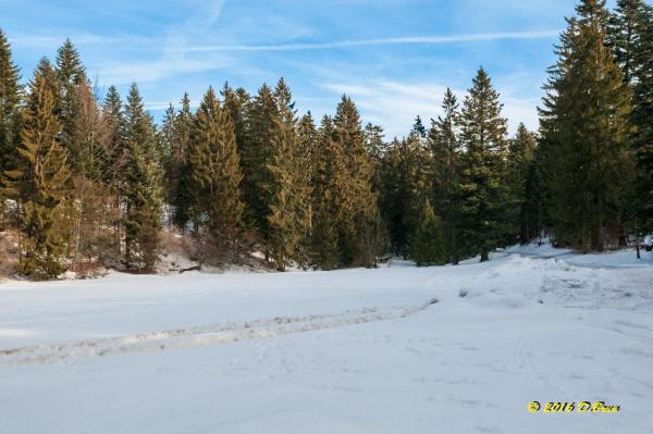Arzier-St-Cergue-003