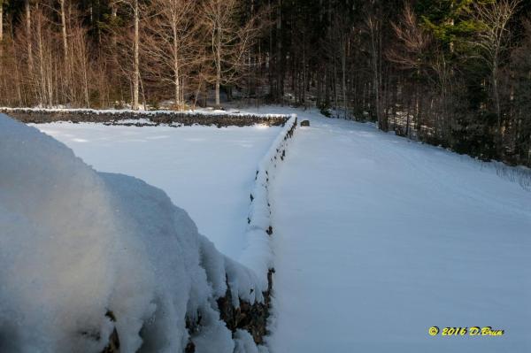 Arzier-St-Cergue-007