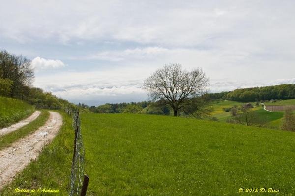 Aubonne-St-Livres-009