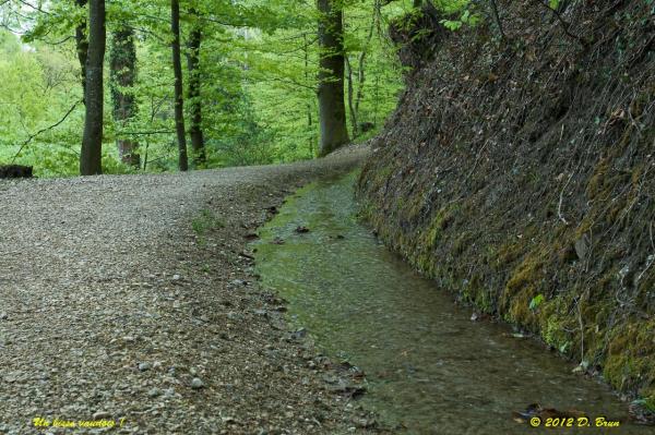 Aubonne-St-Livres-018