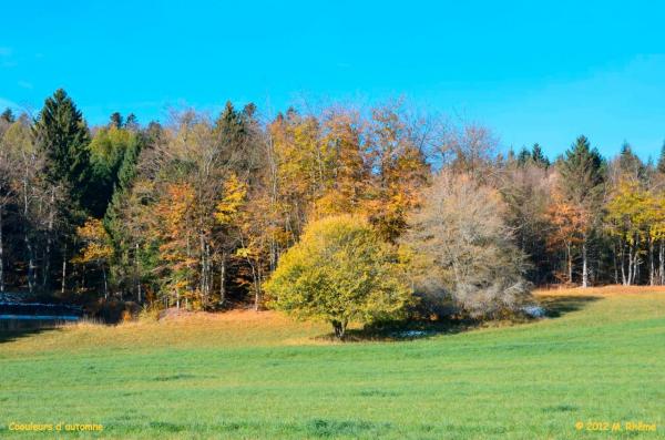 Bassin-Marchissy-001