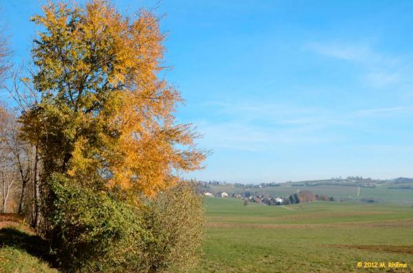 Bassin-Marchissy-003