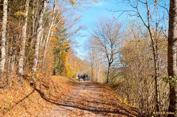 Bassin-Marchissy-004