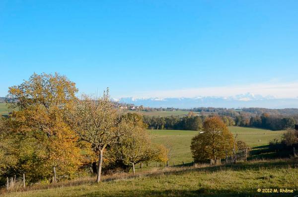 Bassin-Marchissy-015